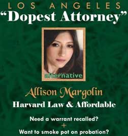 Attorney/Lawyer Marketing