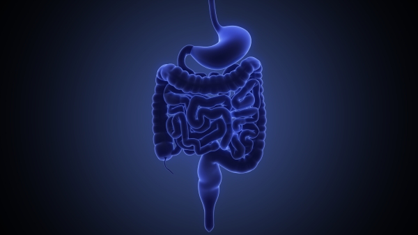 Auto-brewery syndrome (gut fermentation syndrome) - Romano Law