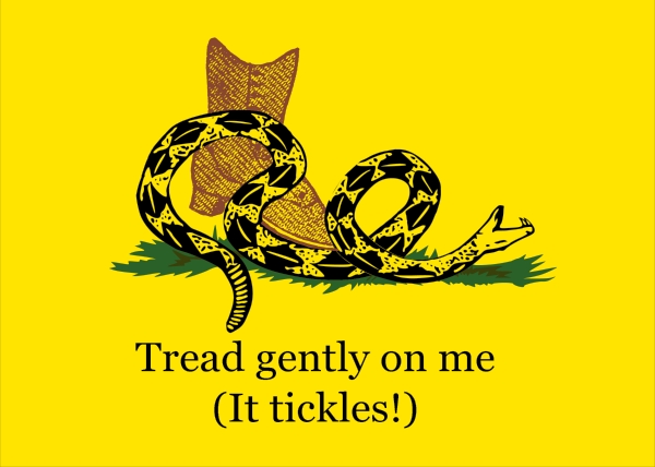 Gadsden Flag Meme